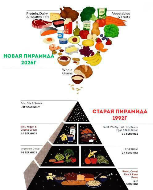 Пирамида питания (1).png