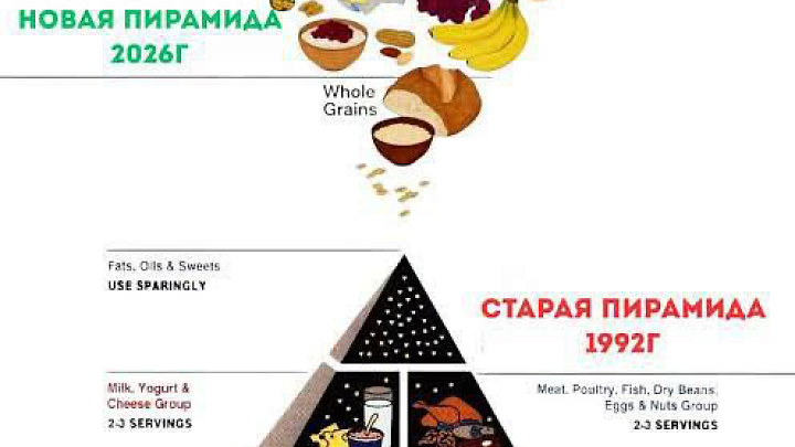 Новая пирамида питания: что изменилось и почему это важно!